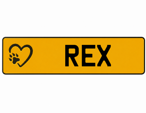 Novelty Metal Pet Number Plate - Yellow